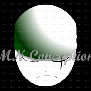 Zoro 12 avec filigrane