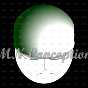 Zoro 25 avec filigrane