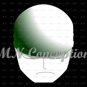 Zoro 29 avec filigrane