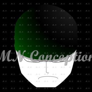 Zoro 30 black background avec filigrane