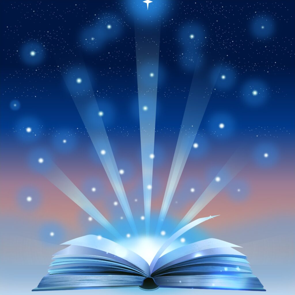 00 image pour l'article 8 what is one piece about