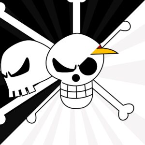 00 image pour l'article 12 piracy in one piece